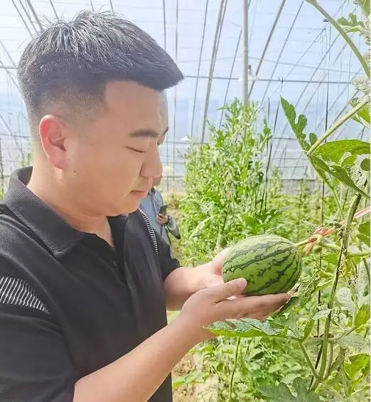 威廉希尔中文官网